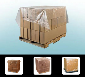 1708495755pallertcoverhome.png